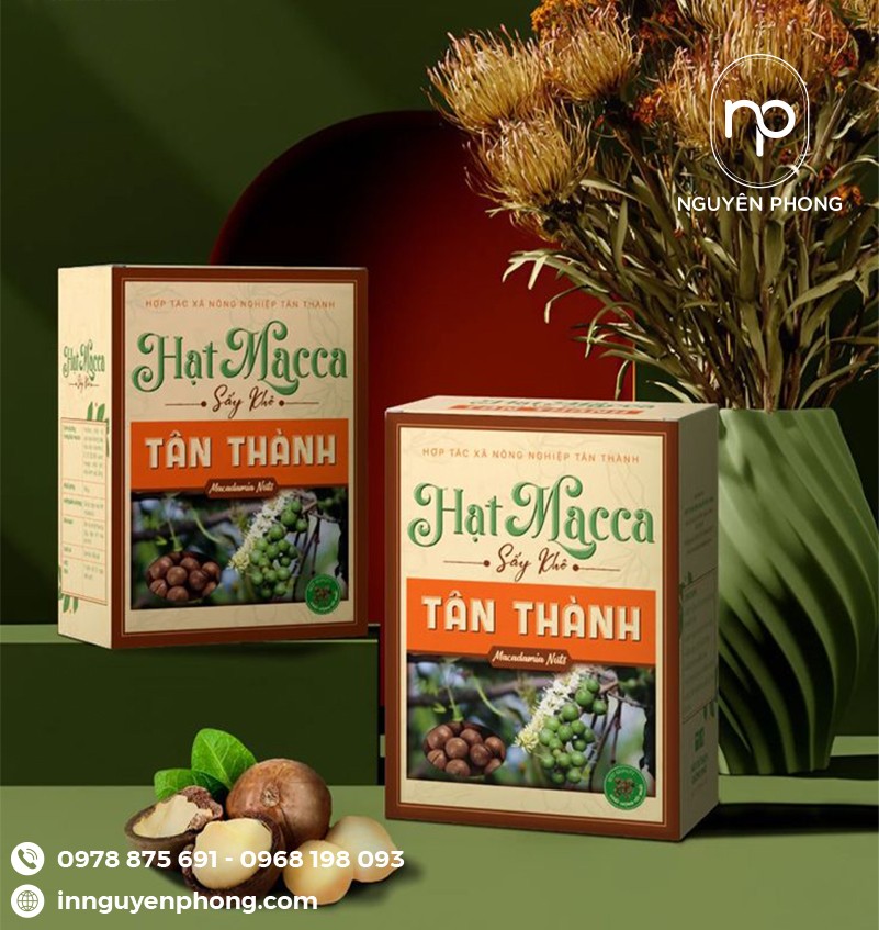 Thiết kế hộp giấy nổi bật thương hiệu 